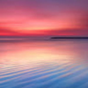 Meet your Posher, Eleanor